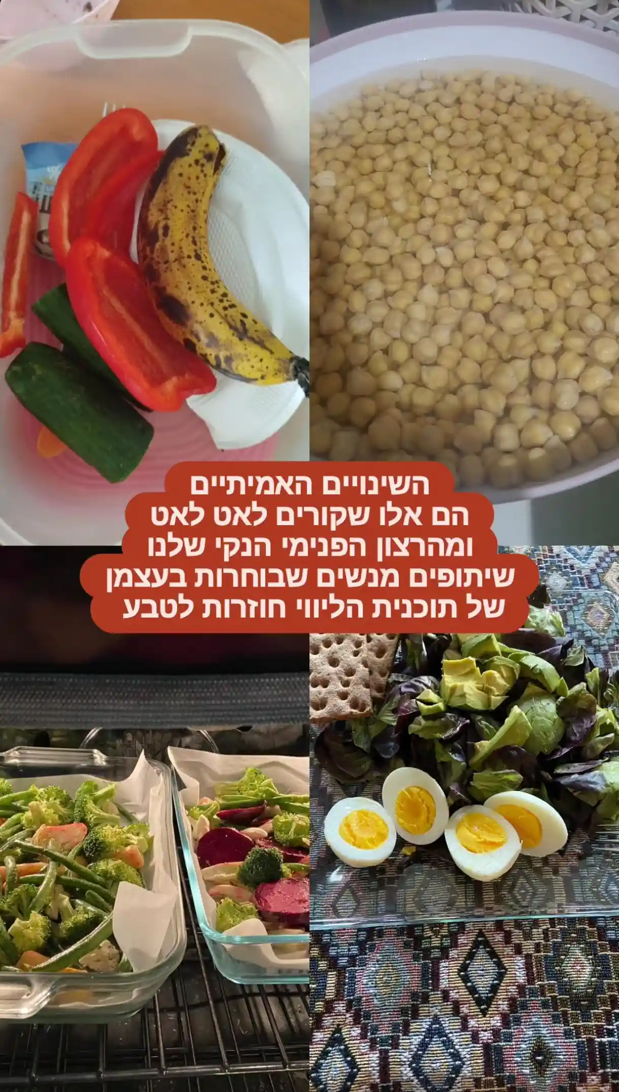 שיתוף וחוויה