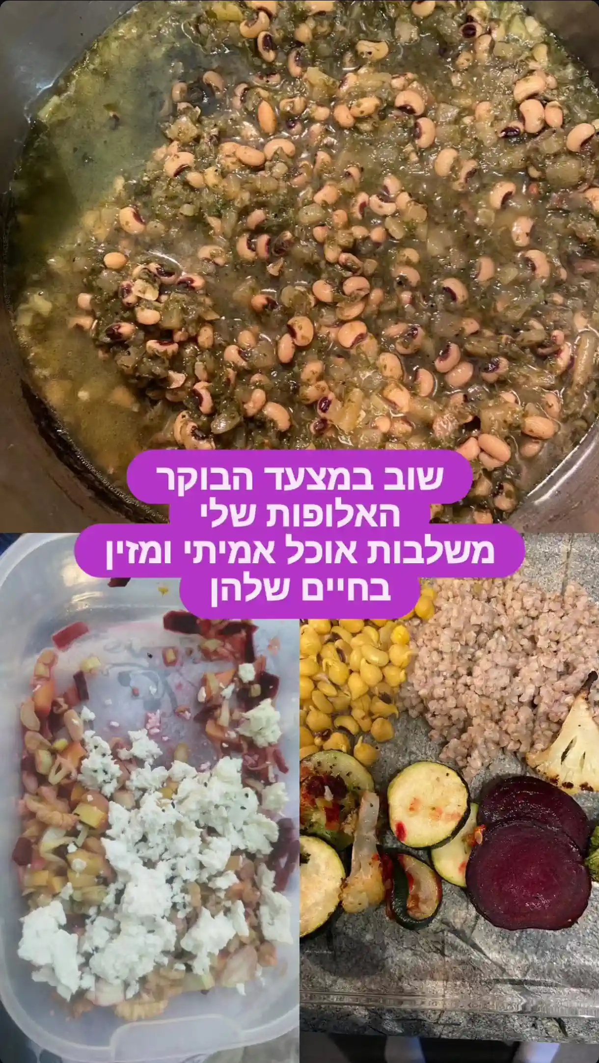 שיתוף וחוויה