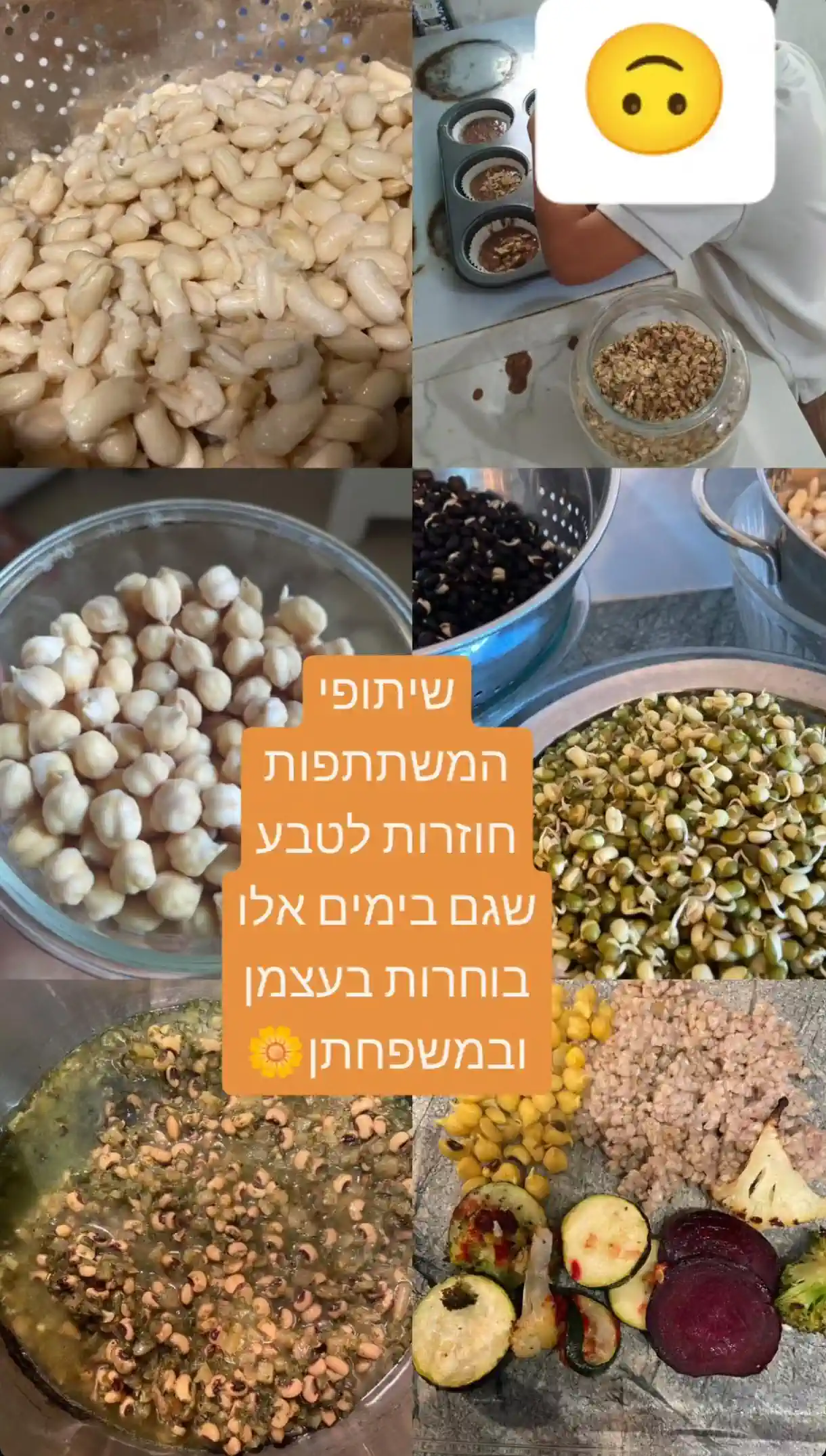 שיתוף וחוויה